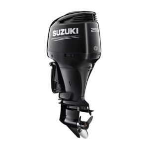 buy 22019 Suzuki 250 HP DF250APX2 online