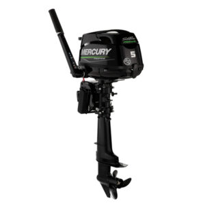 buy Mercury 5 HP 5MLHA-LPG online
