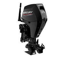 buy 2022 Mercury 25 HP 25ELHGA Jet online